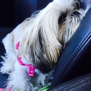 Meet your Posher, Becky